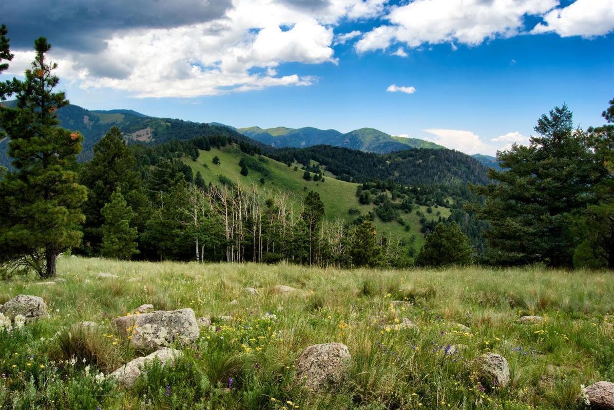 Alpine Cabin, 3 Bedrooms, Deck, Sleeps 8 Ruidoso Exterior foto